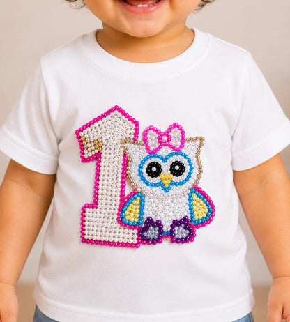 1st Birthday Applique Owl  Tee
