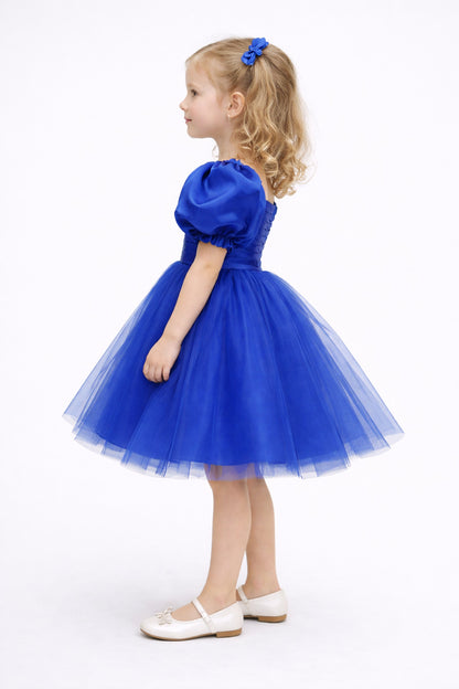 Puff Sleeves Smoked Back Dress - Blue