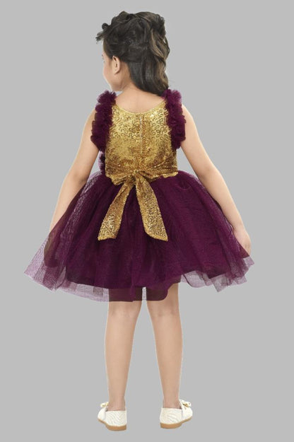 Sequins Gold and Maroon Dress